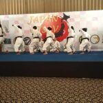 Demonstration of KARATE-DO in "Japan Utsab" today at HHI